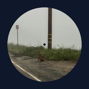 男生被强迫戴飞机杯榨精故事
