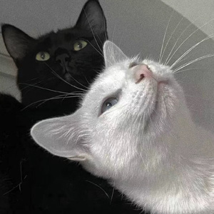 男生被强迫戴飞机杯榨精故事
