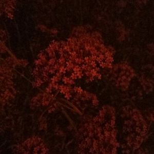 男生被强迫戴飞机杯榨精故事
