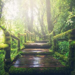 男生被强迫戴飞机杯榨精故事
